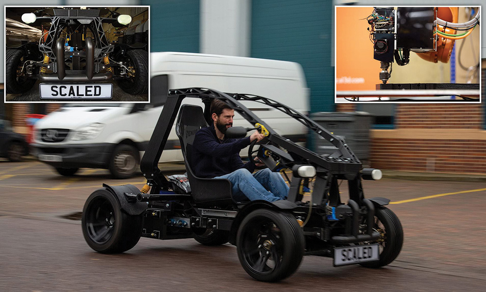 Scaled Chameleon (2)