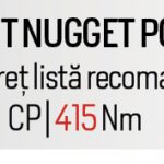 Test Nugget pagini