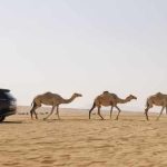 RR_BEV_TD_28112024_09