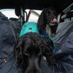 Isuzu D-Max x Ruffwear (1)