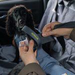 Isuzu D-Max x Ruffwear (12)