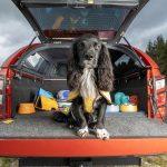 Isuzu D-Max x Ruffwear (16)-min