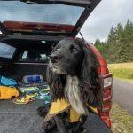 Isuzu D-Max x Ruffwear (17)-min