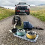 Isuzu D-Max x Ruffwear (20)-min