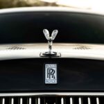 Phantom Arabesque (12)