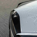 Phantom Arabesque (6)